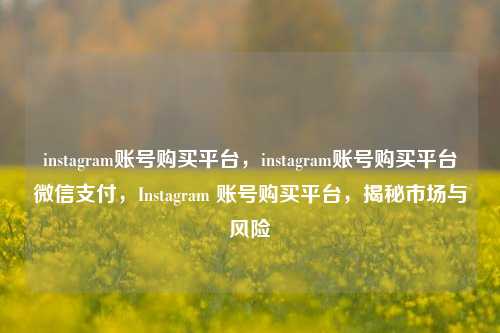 instagram账号购买平台，instagram账号购买平台微信支付，Instagram 账号购买平台，揭秘市场与风险