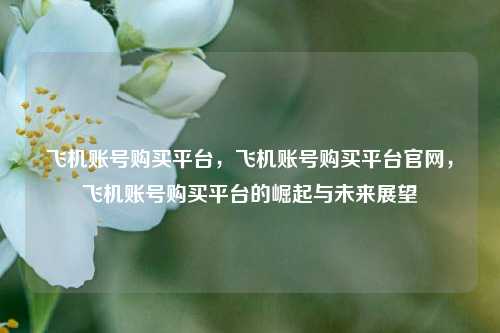 飞机账号购买平台，飞机账号购买平台官网，飞机账号购买平台的崛起与未来展望