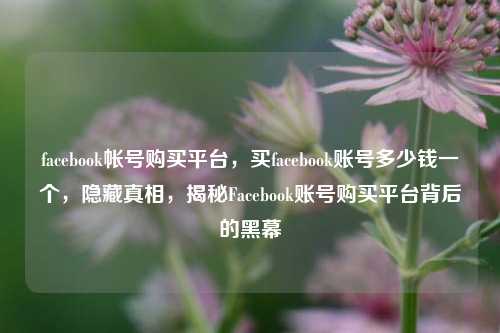 facebook帐号购买平台，买facebook账号多少钱一个，隐藏真相，揭秘Facebook账号购买平台背后的黑幕