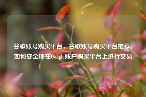 谷歌账号购买平台，谷歌账号购买平台推荐，如何安全地在Google账户购买平台上进行交易
