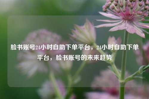 脸书账号24小时自助下单平台，24小时自助下单平台，脸书账号的未来趋势