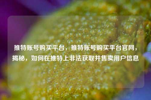 推特账号购买平台，推特账号购买平台官网，揭秘，如何在推特上非法获取并售卖用户信息