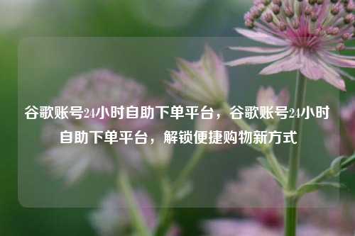 谷歌账号24小时自助下单平台，谷歌账号24小时自助下单平台，解锁便捷购物新方式