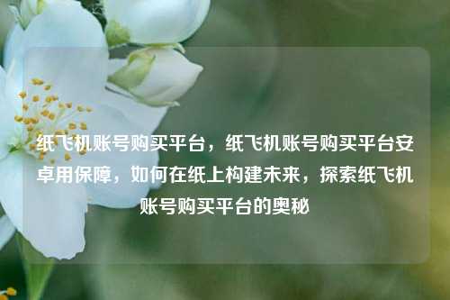 纸飞机账号购买平台，纸飞机账号购买平台安卓用保障，如何在纸上构建未来，探索纸飞机账号购买平台的奥秘