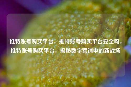 推特账号购买平台，推特账号购买平台安全吗，推特账号购买平台，揭秘数字营销中的新战场