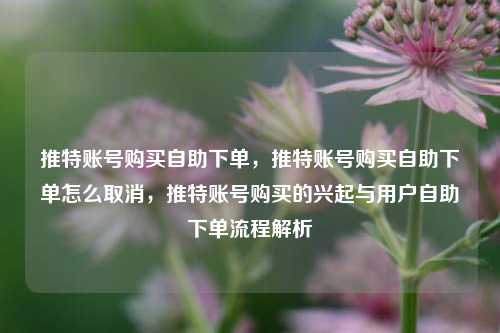 推特账号购买自助下单，推特账号购买自助下单怎么取消，推特账号购买的兴起与用户自助下单流程解析
