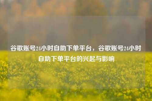 谷歌账号24小时自助下单平台，谷歌账号24小时自助下单平台的兴起与影响