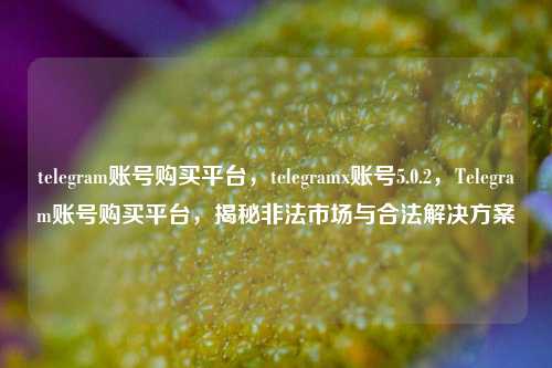 telegram账号购买平台，telegramx账号5.0.2，Telegram账号购买平台，揭秘非法市场与合法解决方案