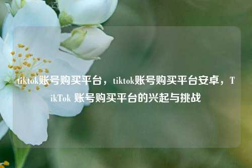 tiktok账号购买平台，tiktok账号购买平台安卓，TikTok 账号购买平台的兴起与挑战