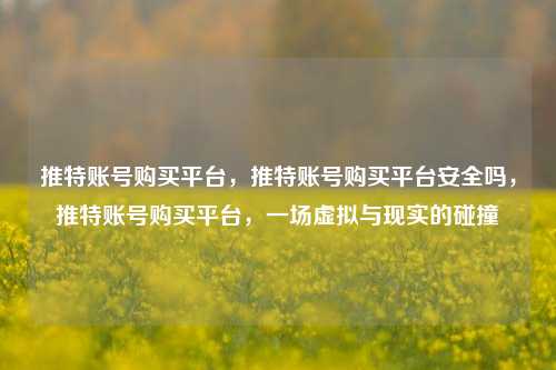 推特账号购买平台，推特账号购买平台安全吗，推特账号购买平台，一场虚拟与现实的碰撞