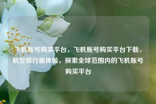 飞机账号购买平台，飞机账号购买平台下载，航空旅行新体验，探索全球范围内的飞机账号购买平台