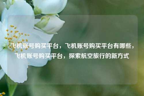 飞机账号购买平台，飞机账号购买平台有哪些，飞机账号购买平台，探索航空旅行的新方式