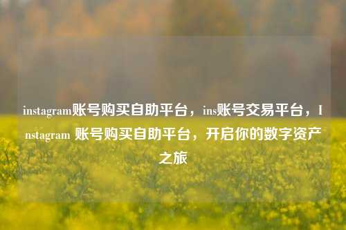 instagram账号购买自助平台，ins账号交易平台，Instagram 账号购买自助平台，开启你的数字资产之旅
