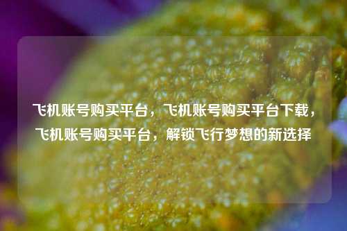 飞机账号购买平台，飞机账号购买平台下载，飞机账号购买平台，解锁飞行梦想的新选择