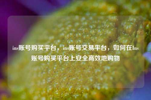 ins账号购买平台，ins账号交易平台，如何在Ins账号购买平台上安全高效地购物