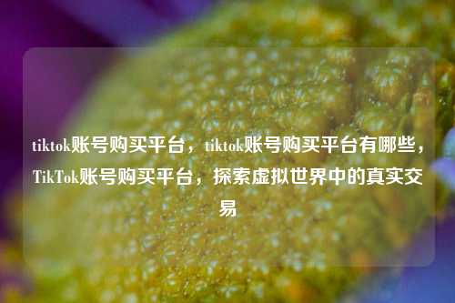 tiktok账号购买平台，tiktok账号购买平台有哪些，TikTok账号购买平台，探索虚拟世界中的真实交易