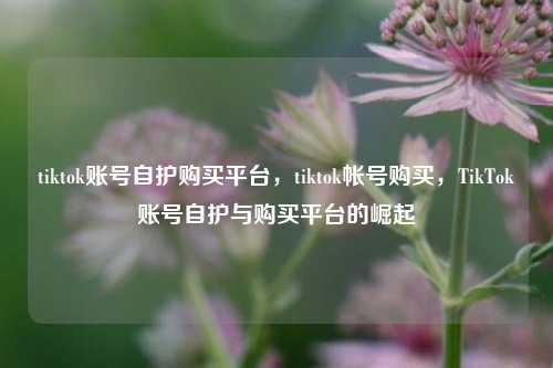 tiktok账号自护购买平台，tiktok帐号购买，TikTok账号自护与购买平台的崛起