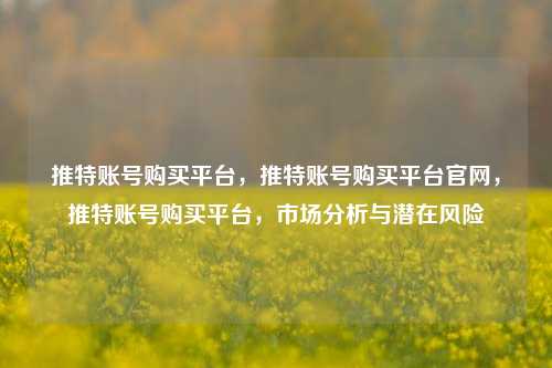 推特账号购买平台，推特账号购买平台官网，推特账号购买平台，市场分析与潜在风险