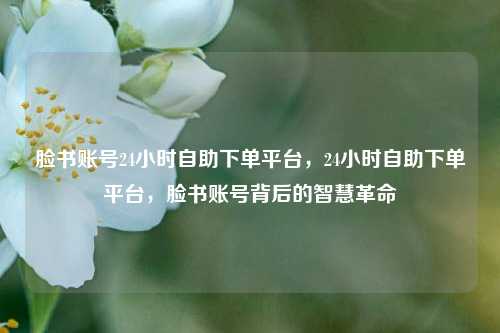 脸书账号24小时自助下单平台，24小时自助下单平台，脸书账号背后的智慧革命