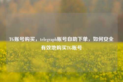 TG账号购买，telegraph账号自助下单，如何安全有效地购买TG账号