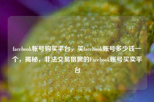 facebook帐号购买平台，买facebook账号多少钱一个，揭秘，非法交易猖獗的Facebook账号买卖平台