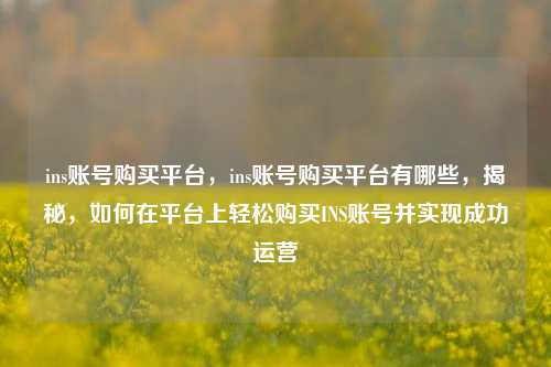 ins账号购买平台，ins账号购买平台有哪些，揭秘，如何在平台上轻松购买INS账号并实现成功运营
