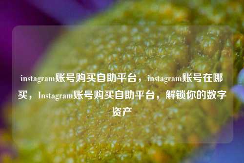 instagram账号购买自助平台，instagram账号在哪买，Instagram账号购买自助平台，解锁你的数字资产