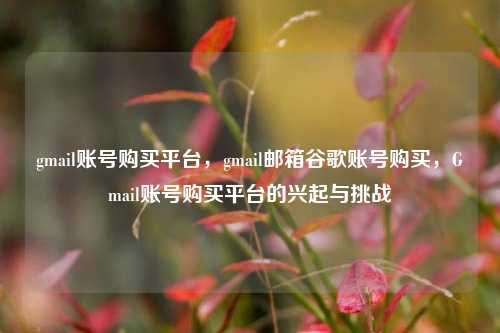 gmail账号购买平台，gmail邮箱谷歌账号购买，Gmail账号购买平台的兴起与挑战