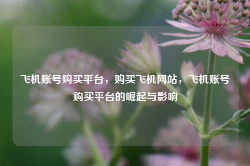 飞机账号购买平台，购买飞机网站，飞机账号购买平台的崛起与影响