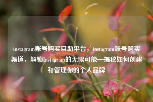 instagram账号购买自助平台，instagram账号购买渠道，解锁Instagram的无限可能—揭秘如何创建和管理你的个人品牌