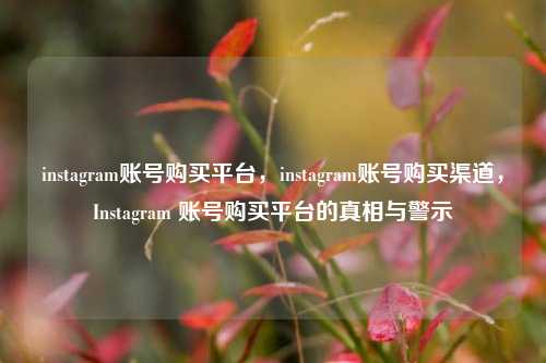instagram账号购买平台，instagram账号购买渠道，Instagram 账号购买平台的真相与警示