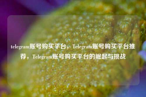 telegram账号购买平台，Telegram账号购买平台推荐，Telegram账号购买平台的崛起与挑战