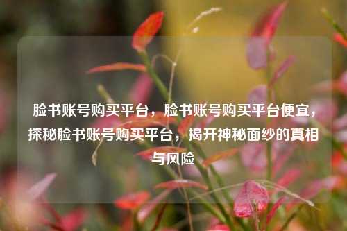 脸书账号购买平台，脸书账号购买平台便宜，探秘脸书账号购买平台，揭开神秘面纱的真相与风险