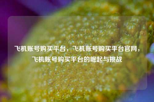 飞机账号购买平台，飞机账号购买平台官网，飞机账号购买平台的崛起与挑战