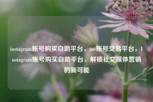 instagram账号购买自助平台，ins账号交易平台，Instagram账号购买自助平台，解锁社交媒体营销的新可能