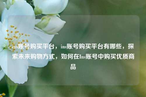 ins账号购买平台，ins账号购买平台有哪些，探索未来购物方式，如何在Ins账号中购买优质商品
