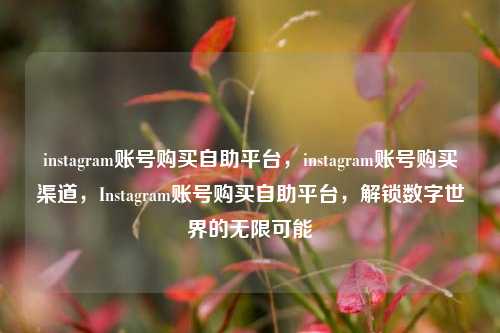 instagram账号购买自助平台，instagram账号购买渠道，Instagram账号购买自助平台，解锁数字世界的无限可能