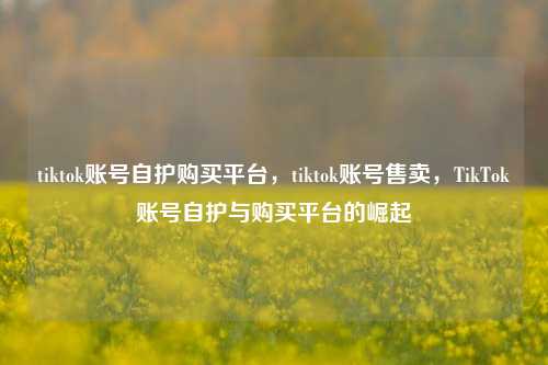 tiktok账号自护购买平台，tiktok账号售卖，TikTok账号自护与购买平台的崛起