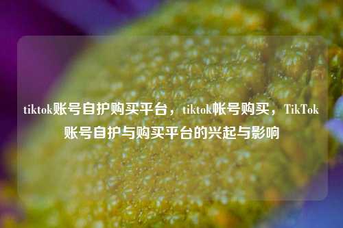 tiktok账号自护购买平台，tiktok帐号购买，TikTok账号自护与购买平台的兴起与影响  第1张