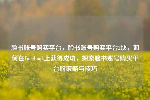 脸书账号购买平台，脸书账号购买平台2块，如何在Facebook上获得成功，探索脸书账号购买平台的策略与技巧