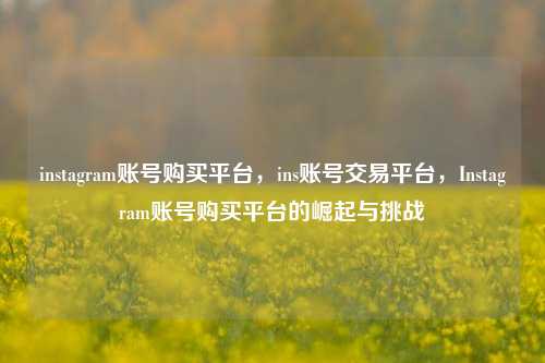 instagram账号购买平台，ins账号交易平台，Instagram账号购买平台的崛起与挑战