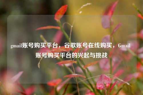 gmail账号购买平台，谷歌账号在线购买，Gmail 账号购买平台的兴起与挑战