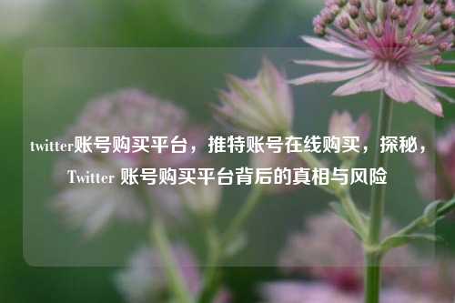 twitter账号购买平台，推特账号在线购买，探秘，Twitter 账号购买平台背后的真相与风险