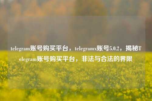 telegram账号购买平台，telegramx账号5.0.2，揭秘Telegram账号购买平台，非法与合法的界限