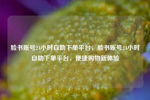 脸书账号24小时自助下单平台，脸书账号24小时自助下单平台，便捷购物新体验