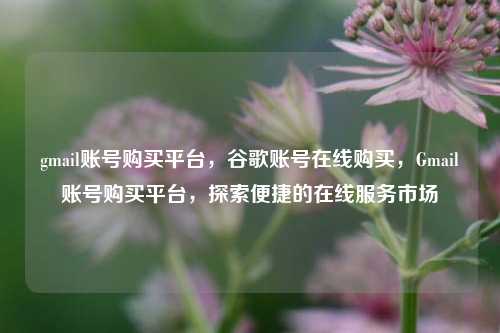 gmail账号购买平台，谷歌账号在线购买，Gmail账号购买平台，探索便捷的在线服务市场