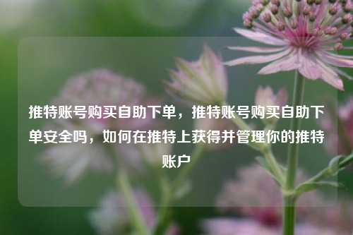 推特账号购买自助下单，推特账号购买自助下单安全吗，如何在推特上获得并管理你的推特账户