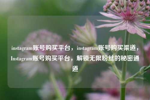 instagram账号购买平台，instagram账号购买渠道，Instagram账号购买平台，解锁无限粉丝的秘密通道