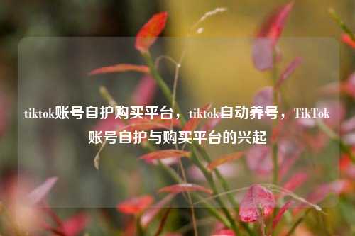 tiktok账号自护购买平台，tiktok自动养号，TikTok账号自护与购买平台的兴起