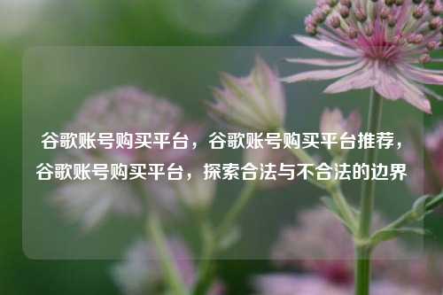 谷歌账号购买平台，谷歌账号购买平台推荐，谷歌账号购买平台，探索合法与不合法的边界